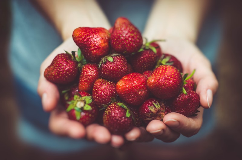 Frutos vermelhos