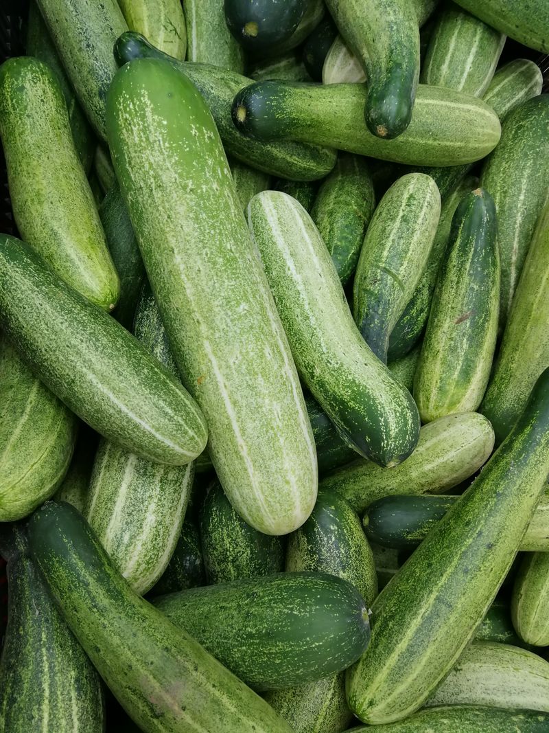 Pepino